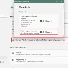 Ustawienia Windows: włączone automatyczne zapisywanie zrzutów ekranu i używanie klawisza Print Screen do przechwytywania.