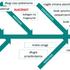 Diagram Ishikawy analizuje przyczyny problemów: metody, materiały, zarządzanie, człowieka i maszynę.