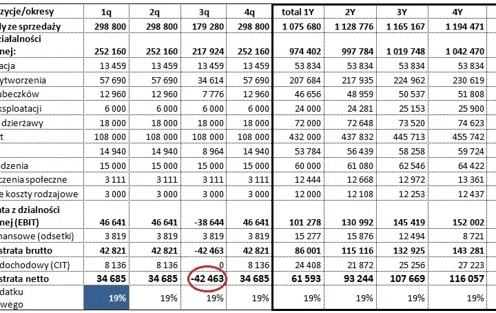 Rachunek zysków i strat restauracji: Klucz do analizy finansów