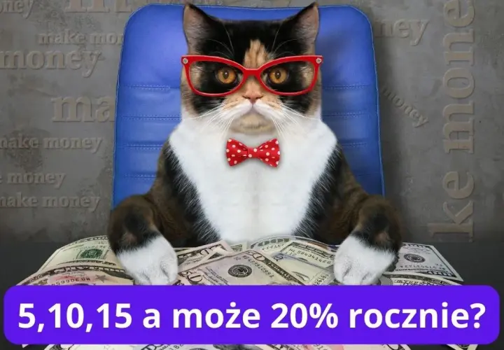 Ile można zarobić na akcjach? Realne możliwości i strategie