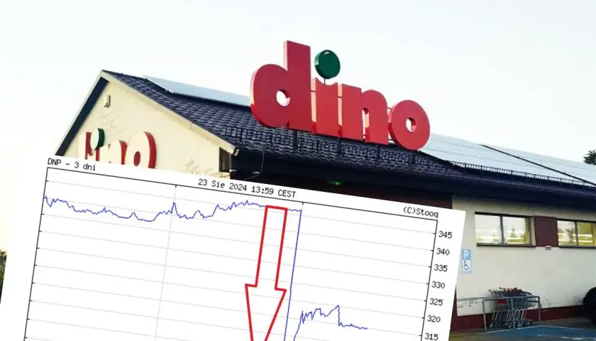 Dino Relacje Inwestorskie: Klucz do Sukcesu na Giełdzie